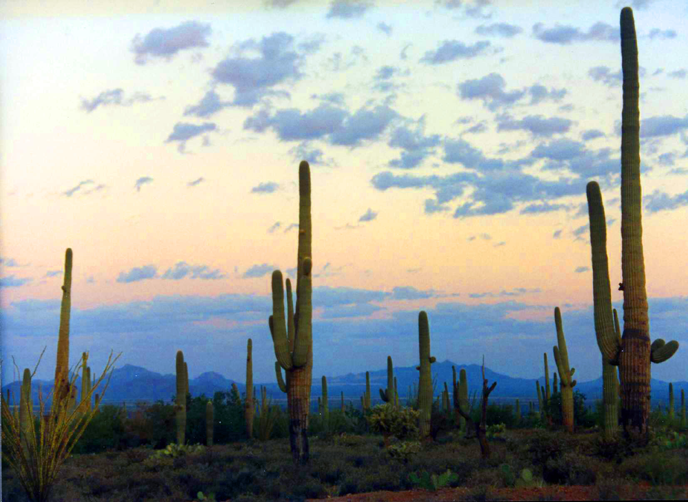 1990 Road Trip to Arizona and Utah